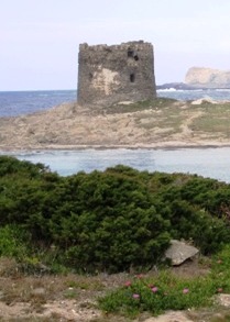 Spiaggia e torre la Pelosa